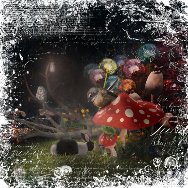 Fantail in Wonderland Thumbnail