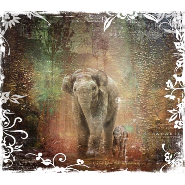 Asian Elephant  Thumbnail