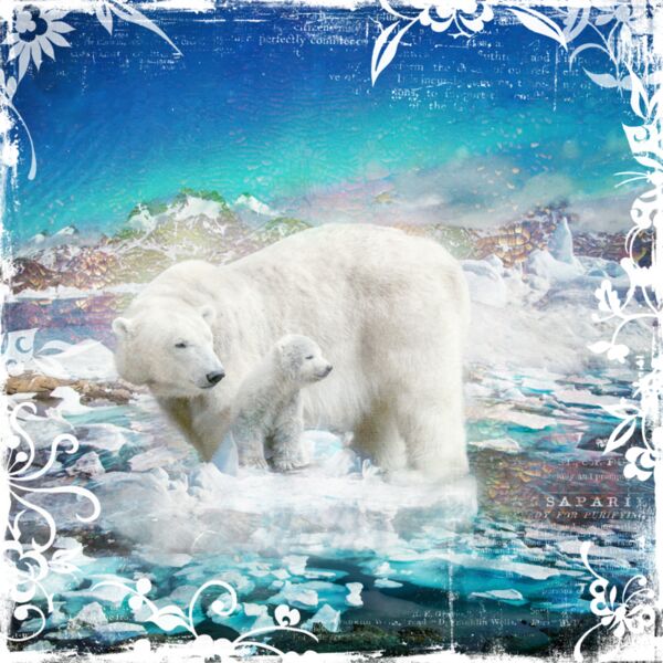 Arctic Day 2018 Polar Bear  Thumbnail
