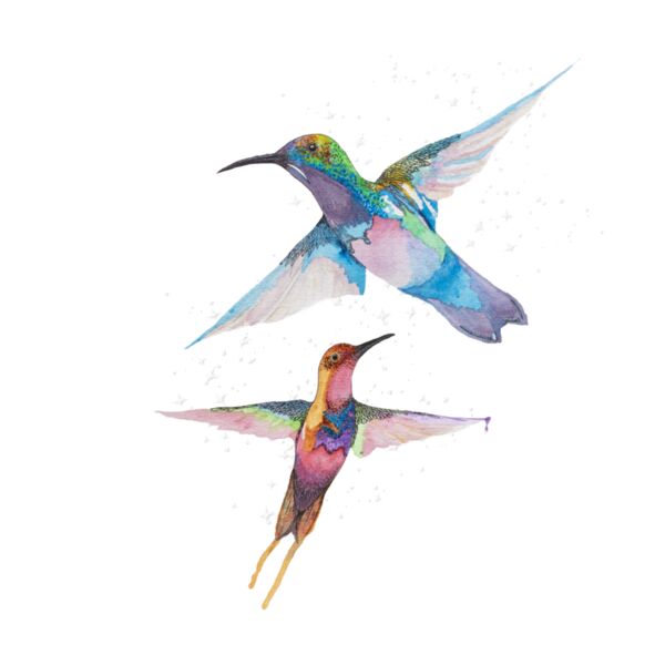 Hummingbird Thumbnail