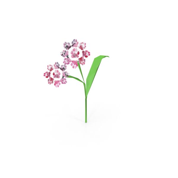 Flowerpawz Thumbnail